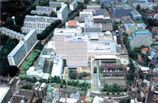 e03_pic02.jpg