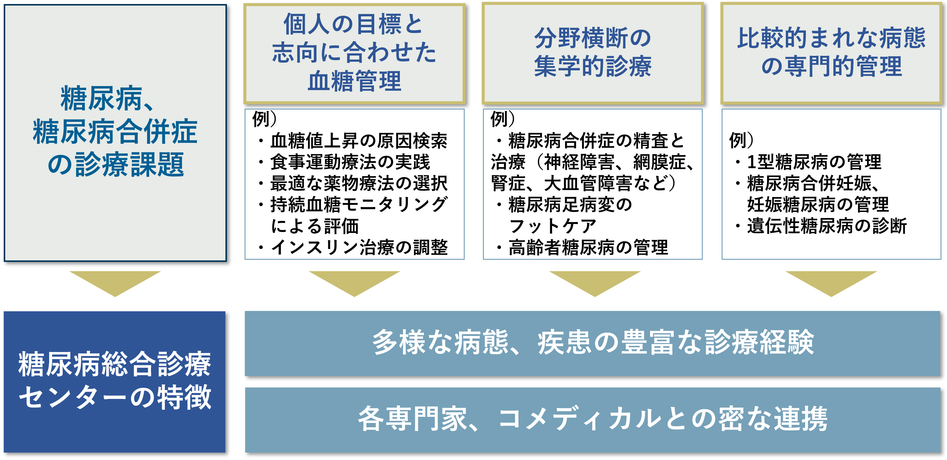 高度な専門性