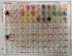 MicroScan Neg Combo EN 2T