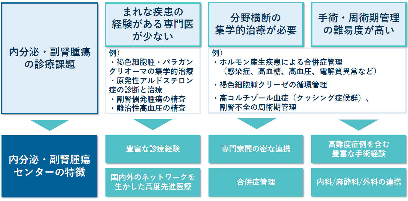 高度な専門性