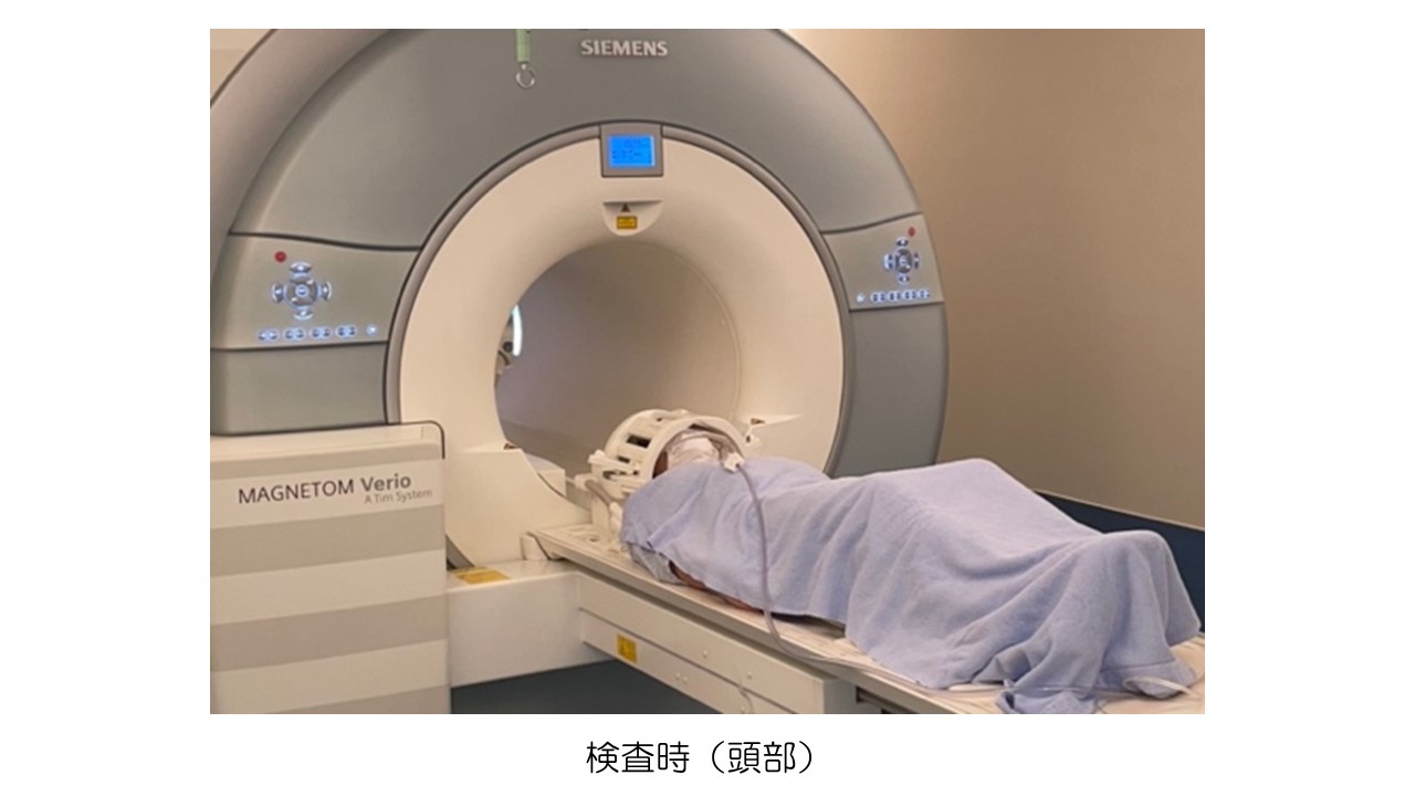 mri5.JPG