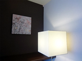 Executive Suite room5