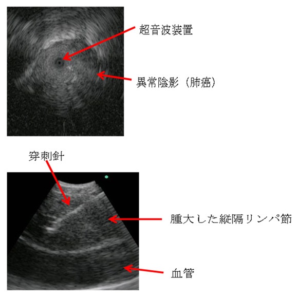 2015_2.jpg