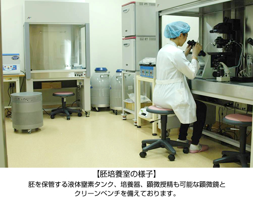体外受精3