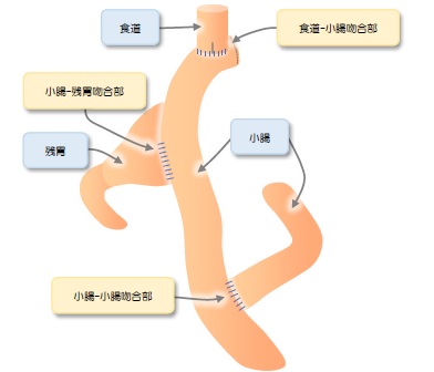 fig_4_8.jpg