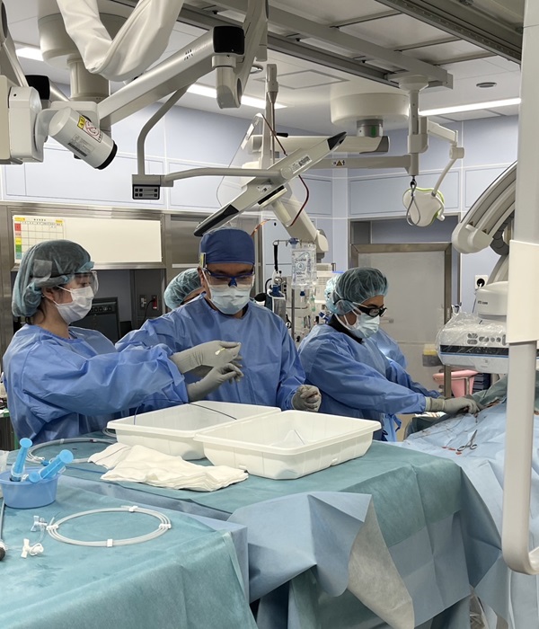 ステントグラフト