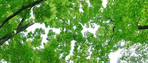 臓器移植コーディネーター 廣江　光司