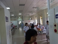img13.jpg