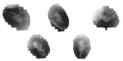 rpm3