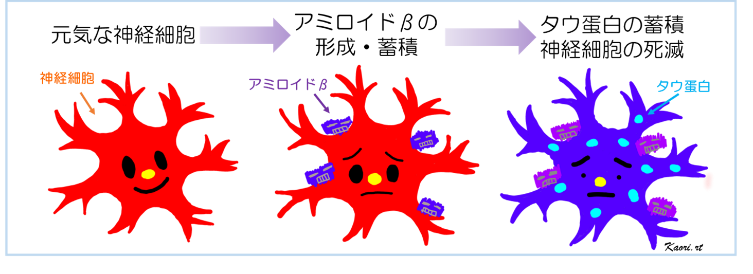 amiroido1