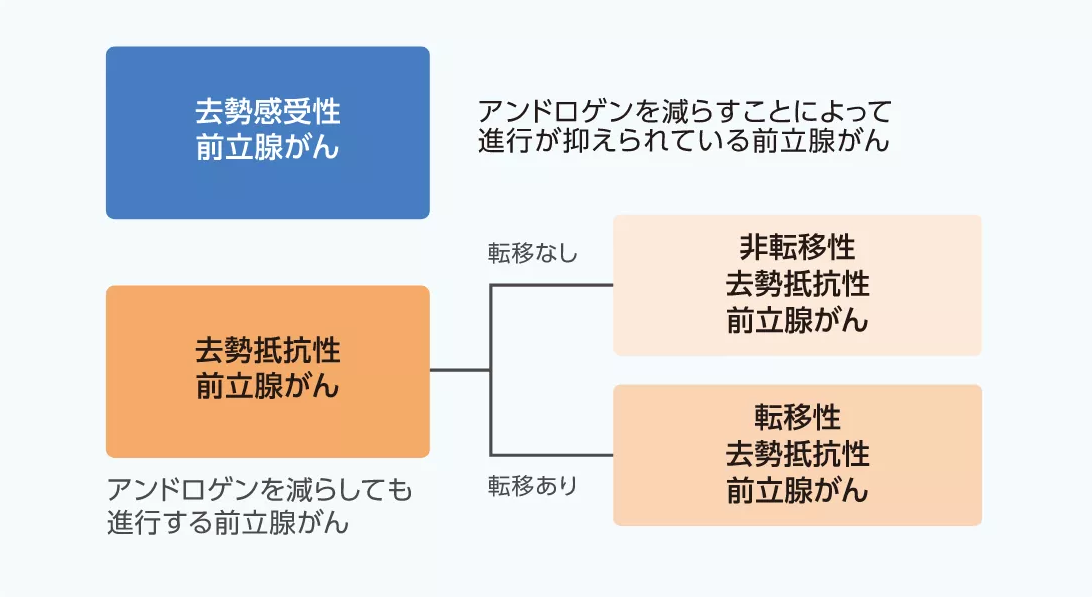 p1.png